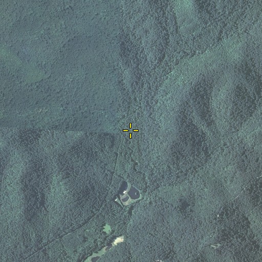 Aerial/Satellite Image of Orchard Branch, KY