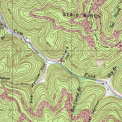 Topographic Map of Orchard Hollow, KY