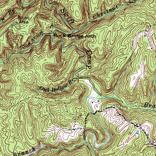 Topographic Map of Owl Hollow Branch, KY