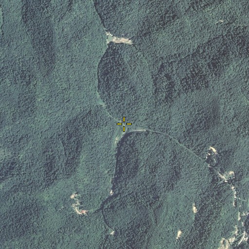 Aerial/Satellite Image of Pace Branch, KY