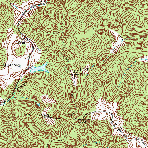Topographic Map of Patrick Cemetery, KY
