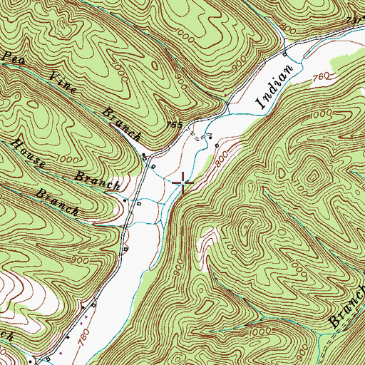 Topographic Map of Pea Vine Branch, KY