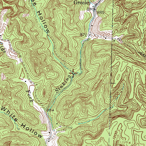 Topographic Map of Peach Tree Hollow, KY