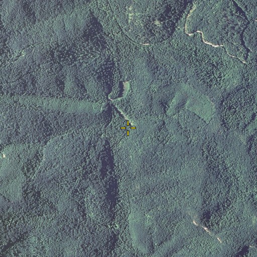 Aerial/Satellite Image of Pergram Branch, KY
