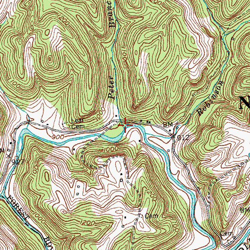 Topographic Map of Peter Branch, KY
