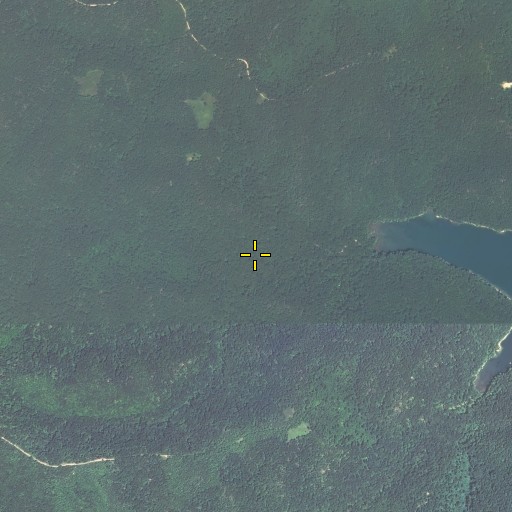 Aerial/Satellite Image of Peter Cave Run, KY