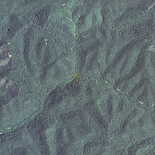 Aerial/Satellite Image of Peters Branch, KY