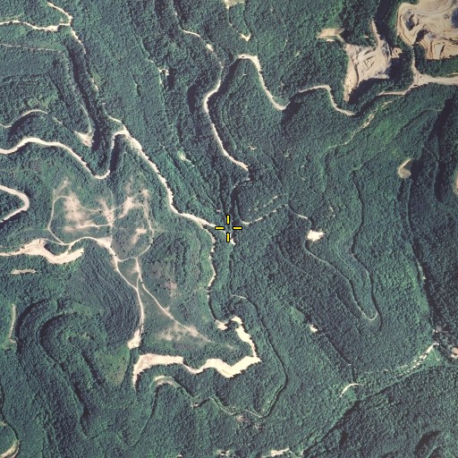 Aerial/Satellite Image of Phillips Gap, KY