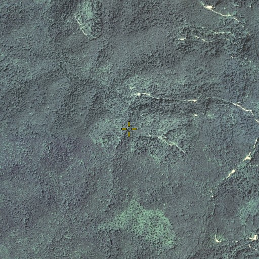 Aerial/Satellite Image of Pig Pen Branch, KY