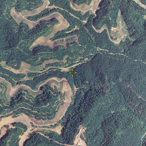 Aerial/Satellite Image of Pig Pen Fork, KY