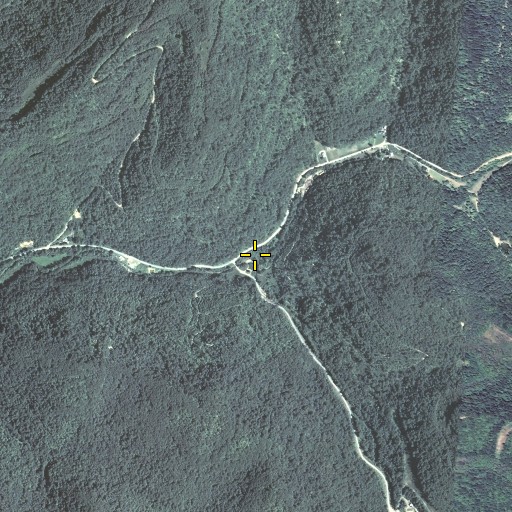 Aerial/Satellite Image of Pigeon Fork, KY
