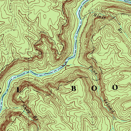 Topographic Map of Pine Island Branch, KY