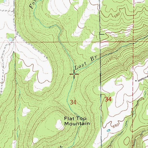 Topographic Map of Lost Branch, AR