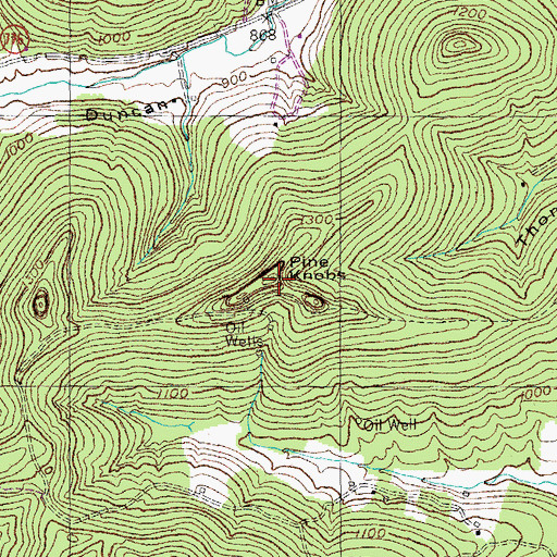 Topographic Map of Pine Knobs, KY