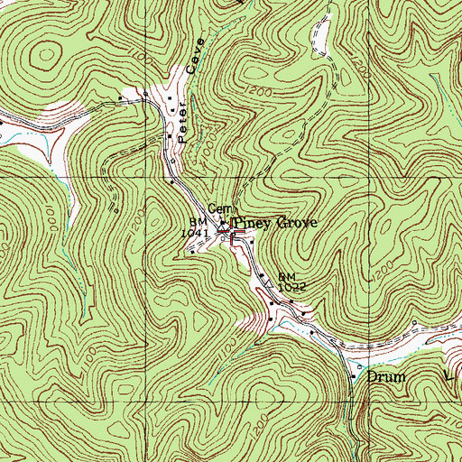 Topographic Map of Piney Grove, KY
