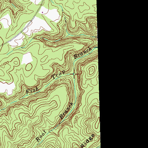 Topographic Map of Pink Root Branch, KY