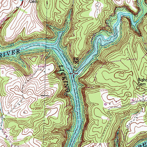 Topographic Map of Pleasant Run, KY