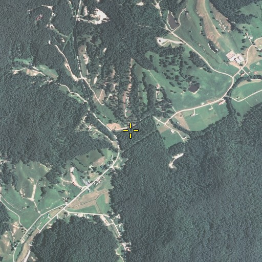 Aerial/Satellite Image of Plum Tree Branch, KY