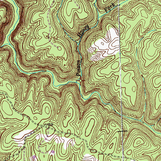 Topographic Map of Poison Honey Fork, KY