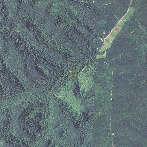Aerial/Satellite Image of Polecat Branch, KY