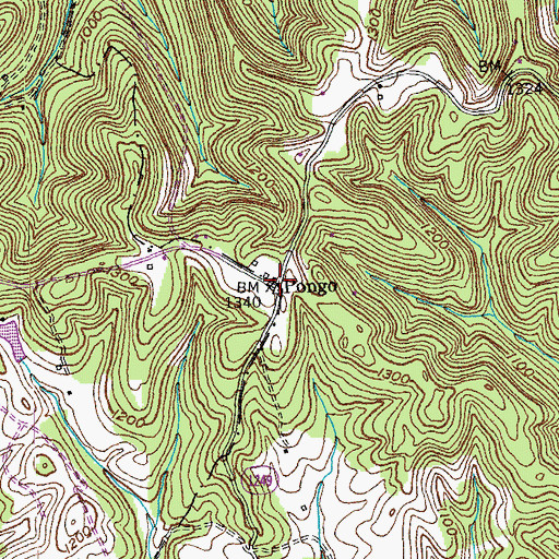Topographic Map of Pongo, KY