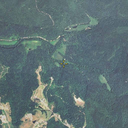Aerial/Satellite Image of Pup Branch, KY
