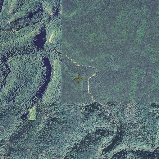 Aerial/Satellite Image of Red-byrd Arch, KY