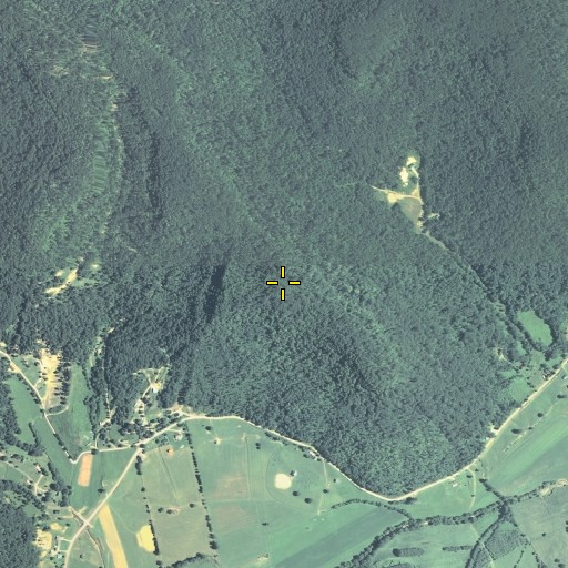 Aerial/Satellite Image of Reeves Mountain, KY