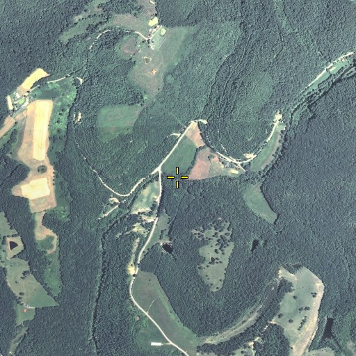 Aerial/Satellite Image of Renfro Branch, KY
