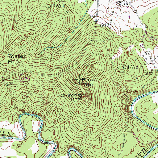 Topographic Map of Rice Mountain, KY