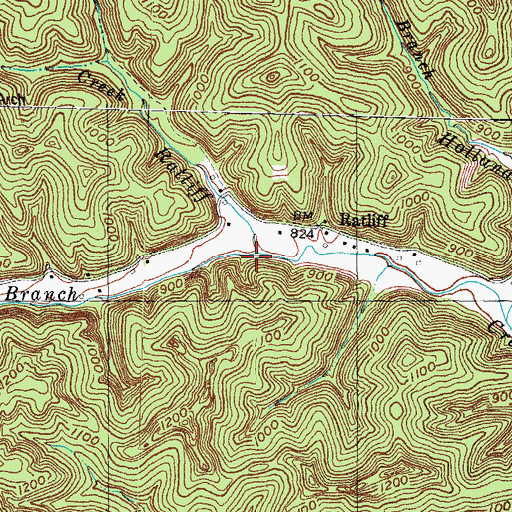 Topographic Map of Richardson Branch, KY