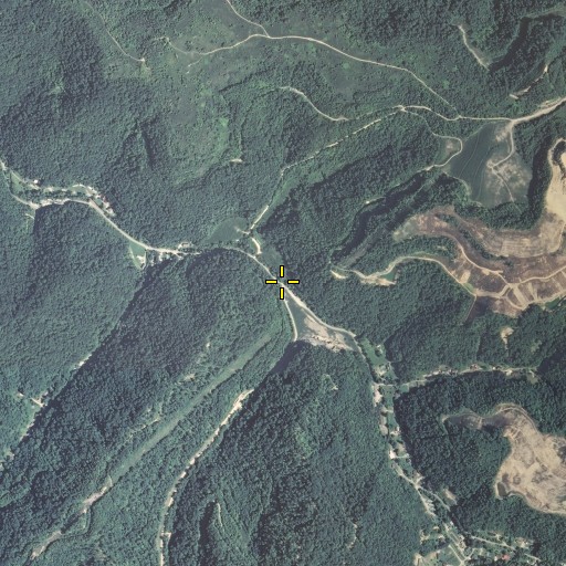 Aerial/Satellite Image of Riley Branch, KY