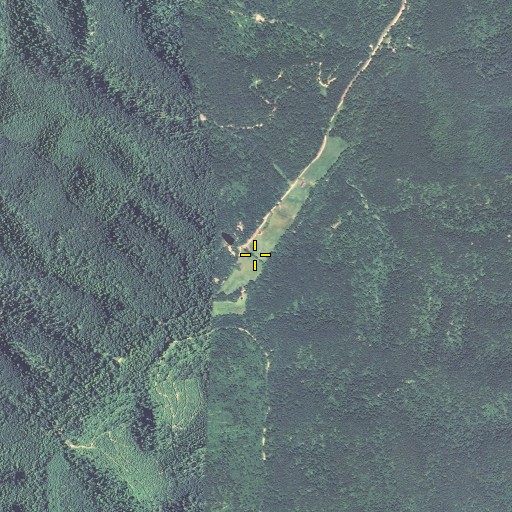 Aerial/Satellite Image of Riley Branch, KY