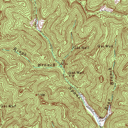 Topographic Map of Ringo Branch, KY