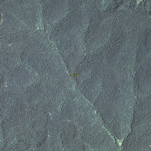 Aerial/Satellite Image of Ringo Branch, KY