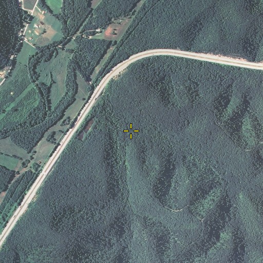 Aerial/Satellite Image of Road Branch, KY