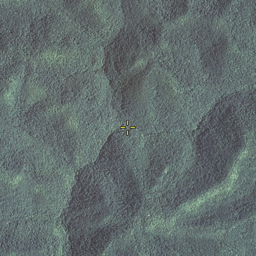 Aerial/Satellite Image of Road Fork, KY