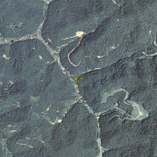 Aerial/Satellite Image of Road Fork, KY