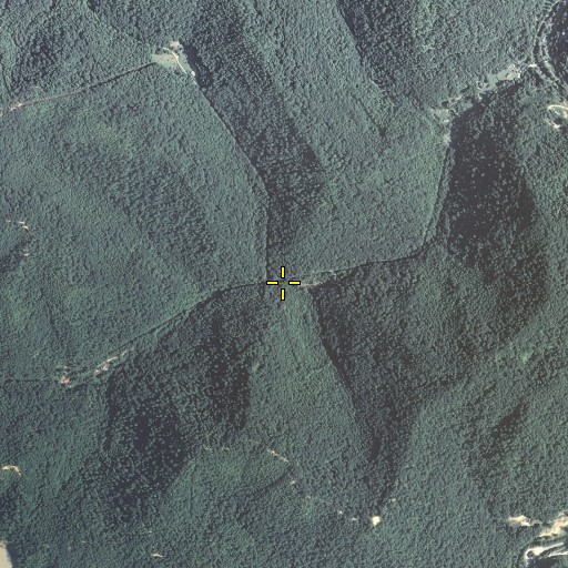 Aerial/Satellite Image of Road Fork, KY