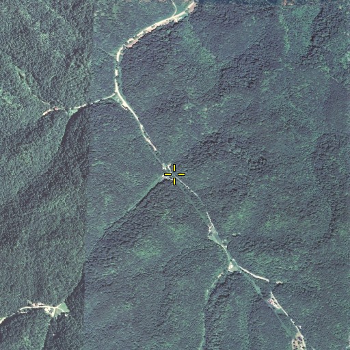 Aerial/Satellite Image of Road Run, KY