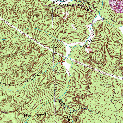 Topographic Map of Roberts Hollow, KY