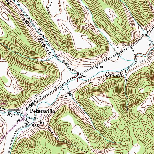 Topographic Map of Rock Camp Branch, KY