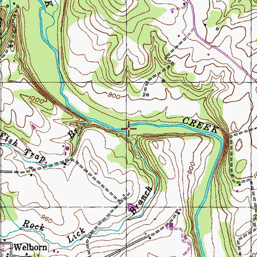 Topographic Map of Rock Lick Branch, KY