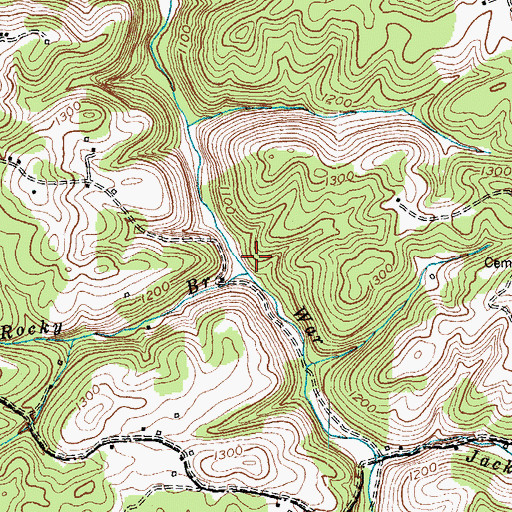 Topographic Map of Rocky Branch, KY