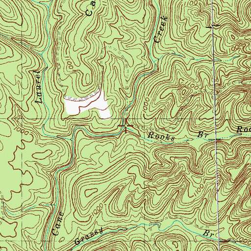 Topographic Map of Rooks Branch, KY