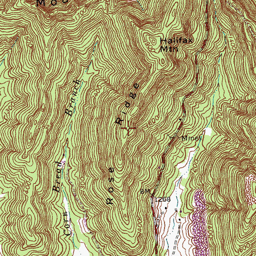 Topographic Map of Rose Ridge, KY