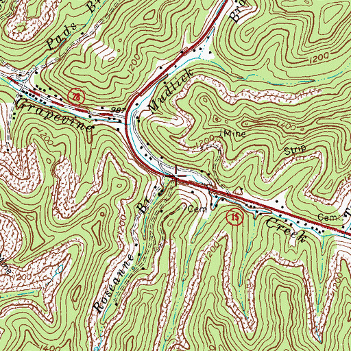 Topographic Map of Roseanne Branch, KY