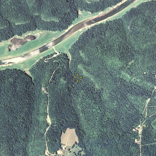 Aerial/Satellite Image of Ross Branch, KY
