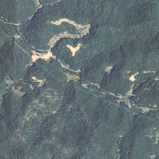 Aerial/Satellite Image of Rough Branch, KY