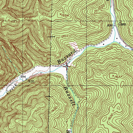 Topographic Map of Russell Branch, KY